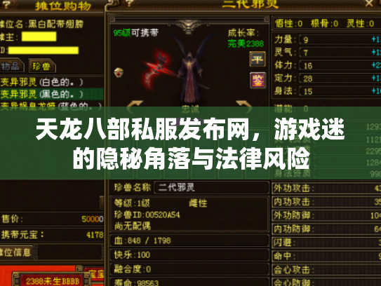 天龙八部私服发布网，游戏迷的隐秘角落与法律风险