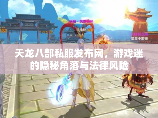 天龙八部私服发布网，游戏迷的隐秘角落与法律风险