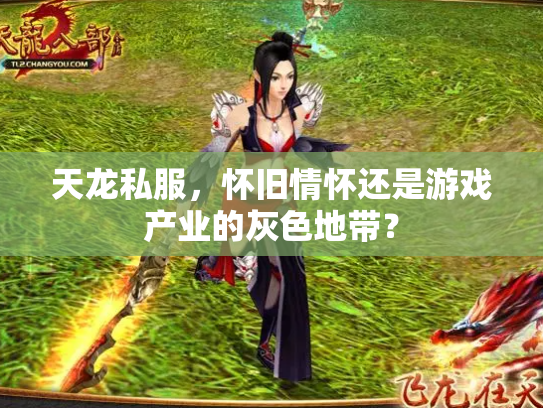 天龙私服，怀旧情怀还是游戏产业的灰色地带？