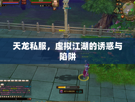 天龙私服，虚拟江湖的诱惑与陷阱
