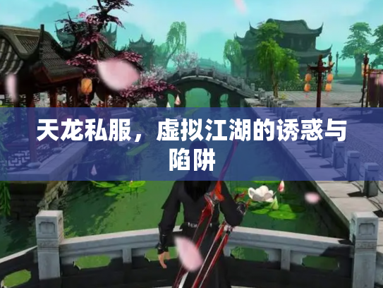 天龙私服，虚拟江湖的诱惑与陷阱