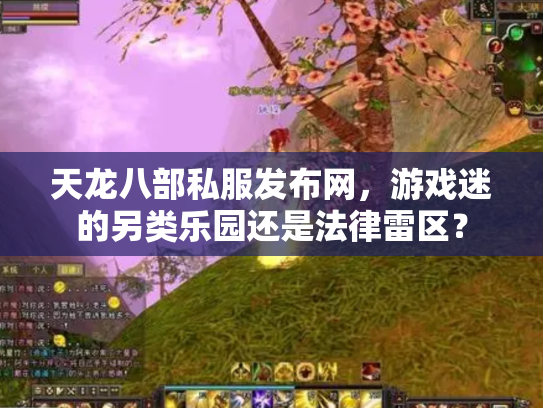 天龙八部私服发布网，游戏迷的另类乐园还是法律雷区？