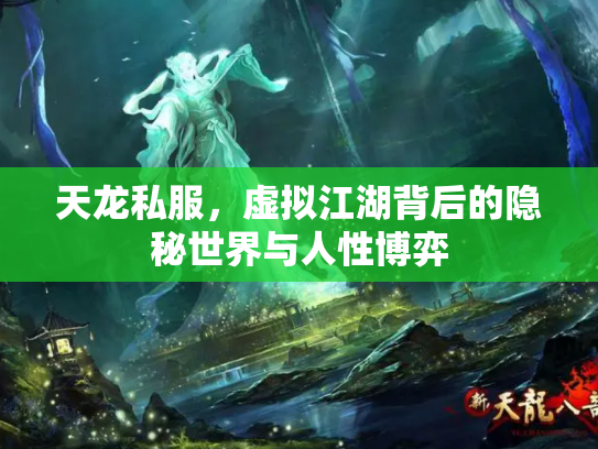 天龙私服，虚拟江湖背后的隐秘世界与人性博弈