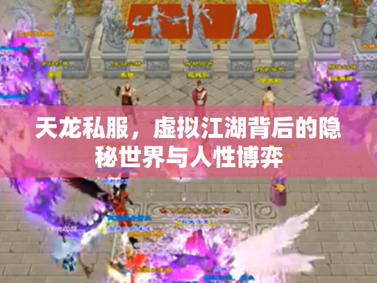 天龙私服，虚拟江湖背后的隐秘世界与人性博弈