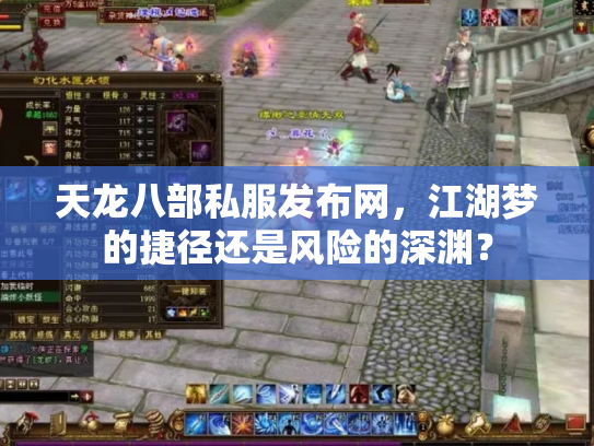 天龙八部私服发布网，江湖梦的捷径还是风险的深渊？