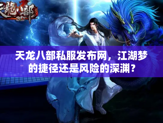 天龙八部私服发布网，江湖梦的捷径还是风险的深渊？