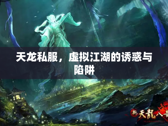 天龙私服，虚拟江湖的诱惑与陷阱