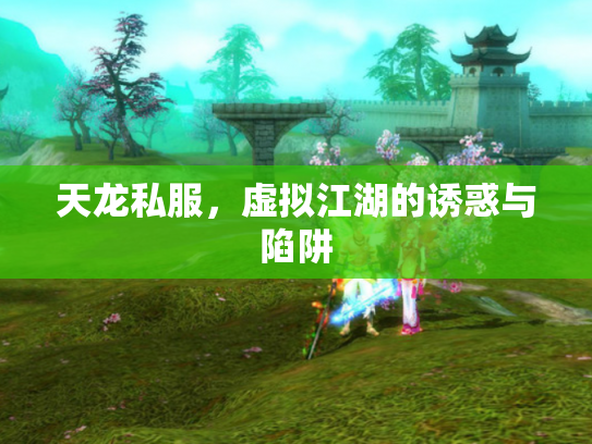 天龙私服，虚拟江湖的诱惑与陷阱