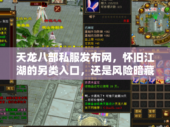 天龙八部私服发布网，怀旧江湖的另类入口，还是风险暗藏的数字迷宫？