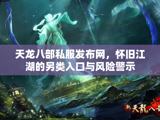 天龙八部私服发布网，怀旧江湖的另类入口与风险警示