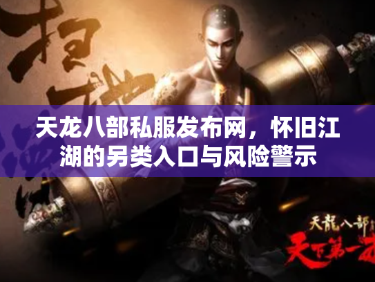 天龙八部私服发布网，怀旧江湖的另类入口与风险警示