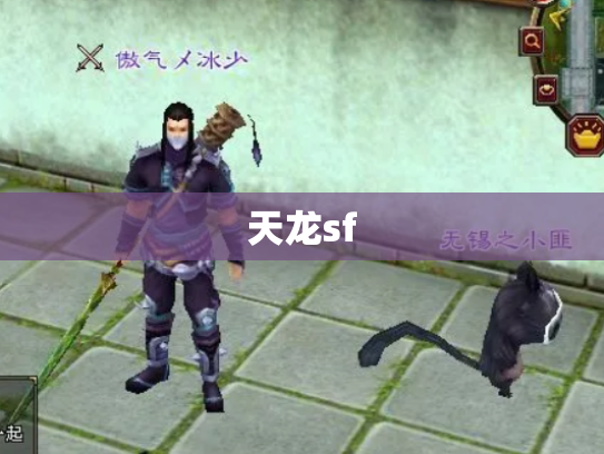 天龙sf