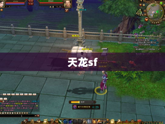 天龙sf