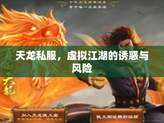 天龙私服，虚拟江湖的诱惑与风险