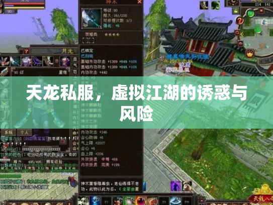 天龙私服，虚拟江湖的诱惑与风险