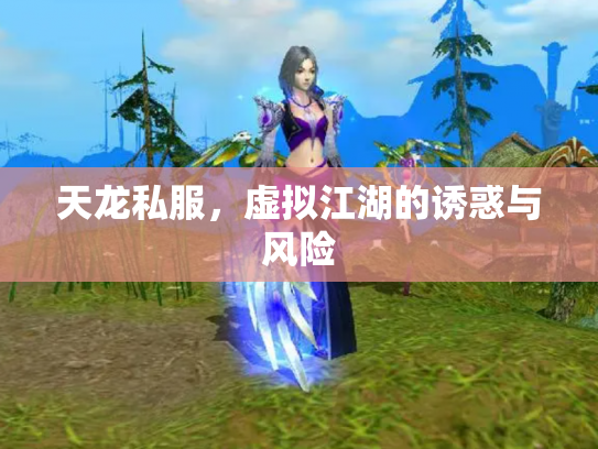 天龙私服，虚拟江湖的诱惑与风险