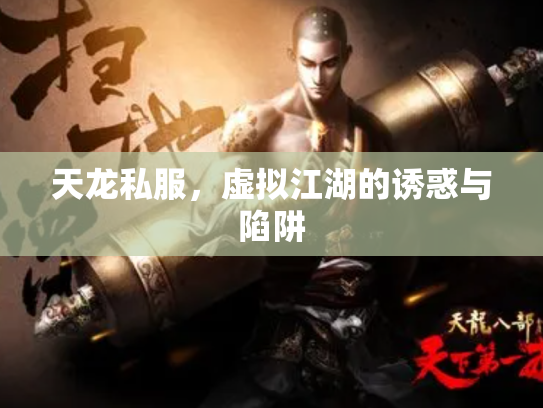 天龙私服，虚拟江湖的诱惑与陷阱