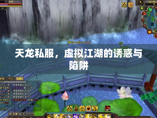 天龙私服，虚拟江湖的诱惑与陷阱