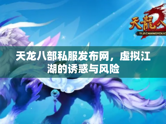 天龙八部私服发布网，虚拟江湖的诱惑与风险