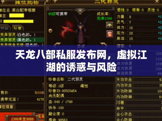 天龙八部私服发布网，虚拟江湖的诱惑与风险