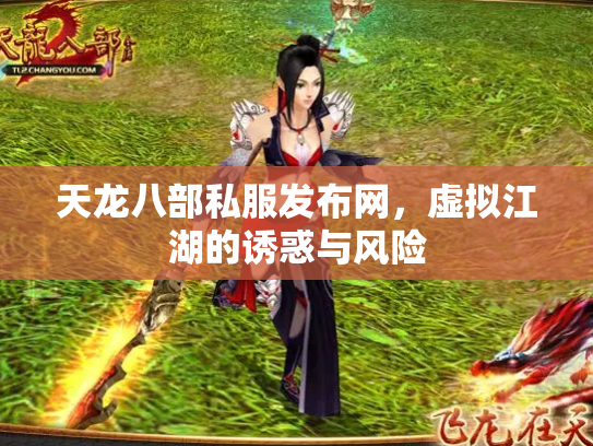 天龙八部私服发布网，虚拟江湖的诱惑与风险