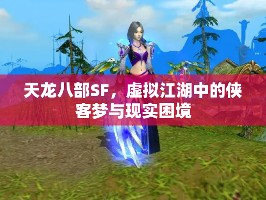 天龙八部SF，虚拟江湖中的侠客梦与现实困境