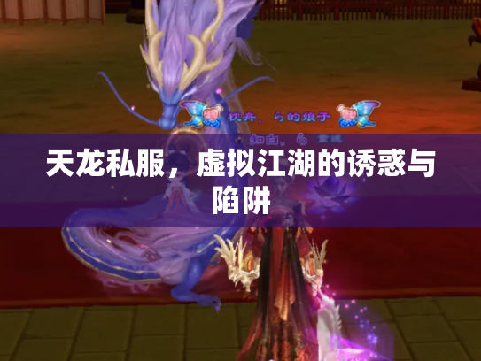 天龙私服，虚拟江湖的诱惑与陷阱