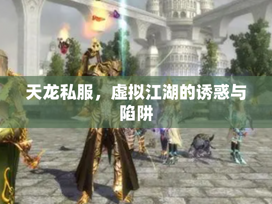 天龙私服，虚拟江湖的诱惑与陷阱
