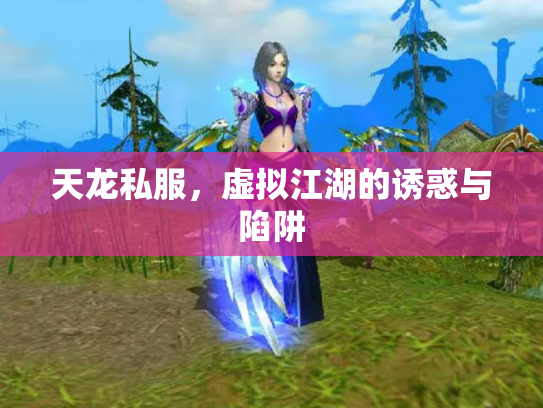 天龙私服，虚拟江湖的诱惑与陷阱