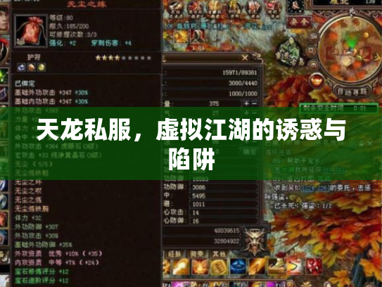 天龙私服，虚拟江湖的诱惑与陷阱