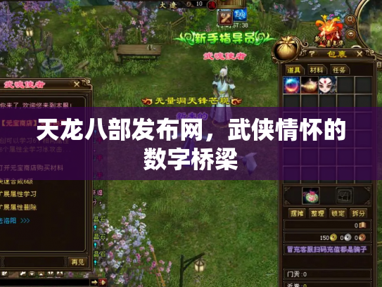 天龙八部发布网，武侠情怀的数字桥梁