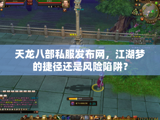 天龙八部私服发布网，江湖梦的捷径还是风险陷阱？