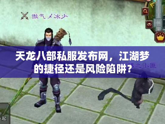 天龙八部私服发布网，江湖梦的捷径还是风险陷阱？