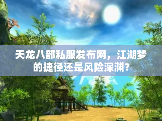 天龙八部私服发布网，江湖梦的捷径还是风险深渊？