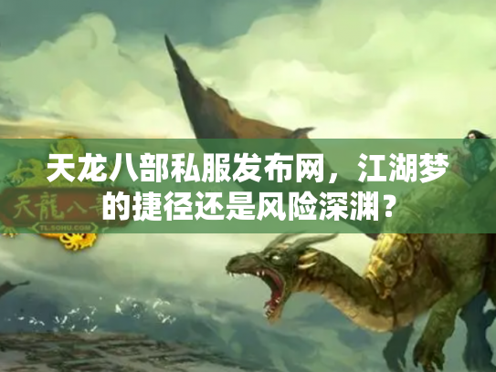天龙八部私服发布网，江湖梦的捷径还是风险深渊？