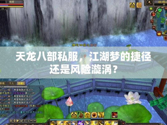 天龙八部私服，江湖梦的捷径还是风险漩涡？