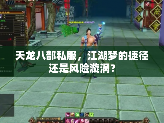 天龙八部私服，江湖梦的捷径还是风险漩涡？
