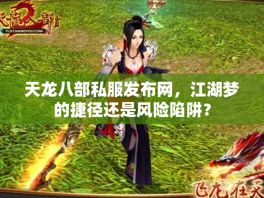 天龙八部私服发布网，江湖梦的捷径还是风险陷阱？