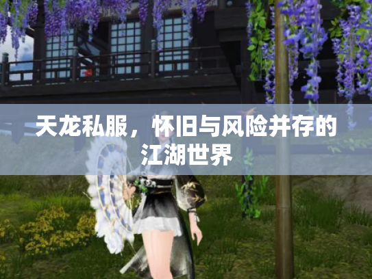 天龙私服，怀旧与风险并存的江湖世界