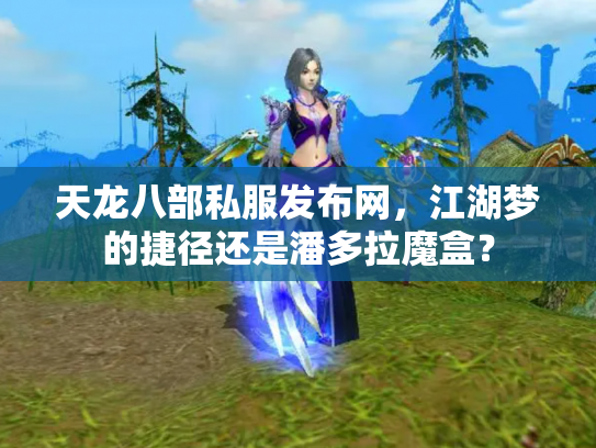 天龙八部私服发布网，江湖梦的捷径还是潘多拉魔盒？