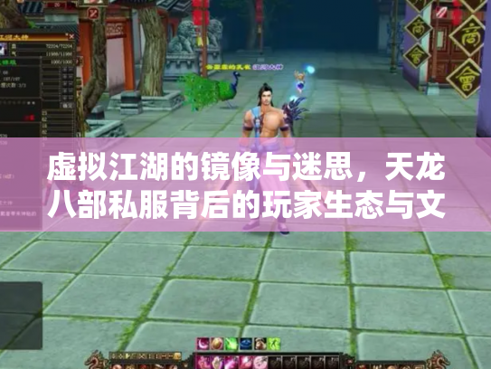 虚拟江湖的镜像与迷思，天龙八部私服背后的玩家生态与文化隐忧