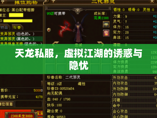 天龙私服，虚拟江湖的诱惑与隐忧