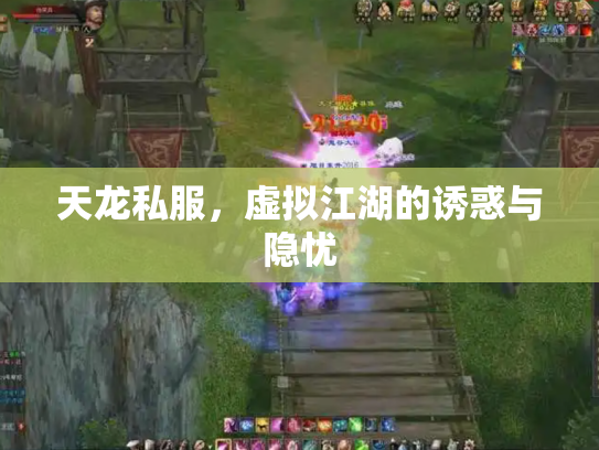 天龙私服，虚拟江湖的诱惑与隐忧