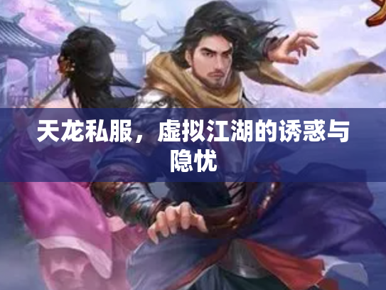天龙私服，虚拟江湖的诱惑与隐忧