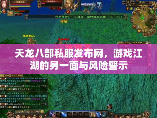 天龙八部私服发布网，游戏江湖的另一面与风险警示
