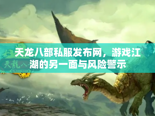 天龙八部私服发布网，游戏江湖的另一面与风险警示