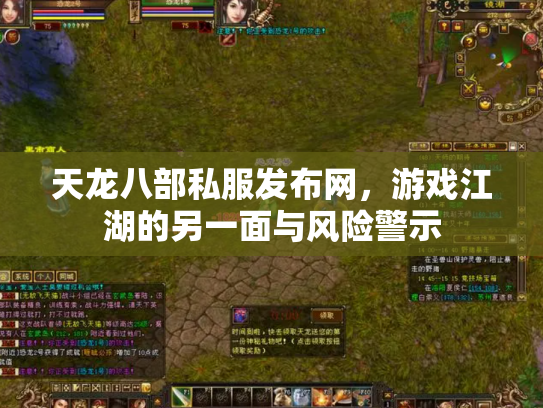 天龙八部私服发布网，游戏江湖的另一面与风险警示