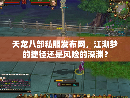 天龙八部私服发布网，江湖梦的捷径还是风险的深渊？