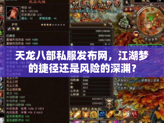天龙八部私服发布网，江湖梦的捷径还是风险的深渊？