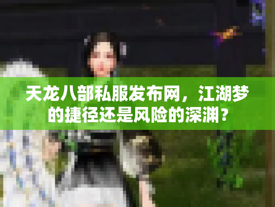 天龙八部私服发布网，江湖梦的捷径还是风险的深渊？